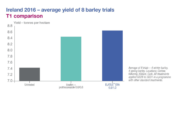 barley