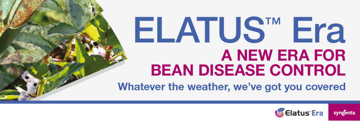Elatus Era Beans Banner