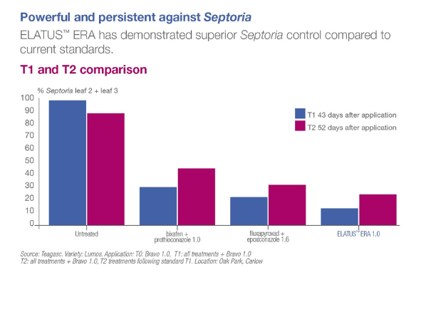 Septoria Trial
