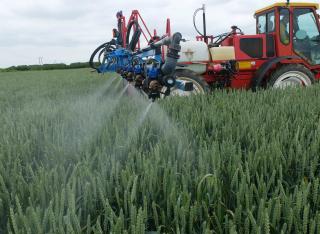 Cereals application