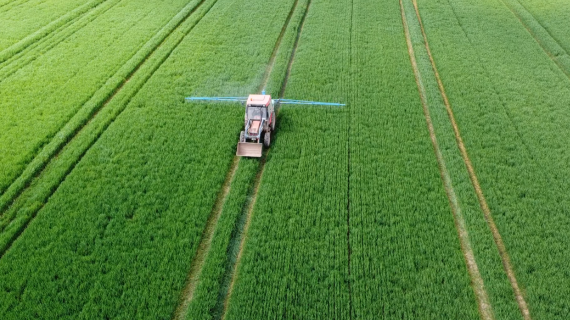 Important Spraying Tasks
