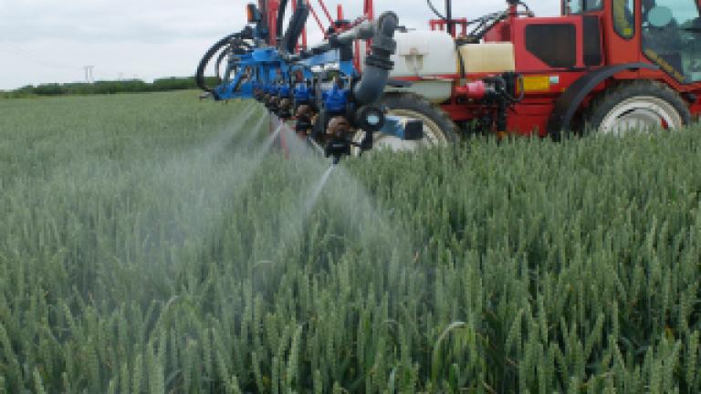 Cereals application