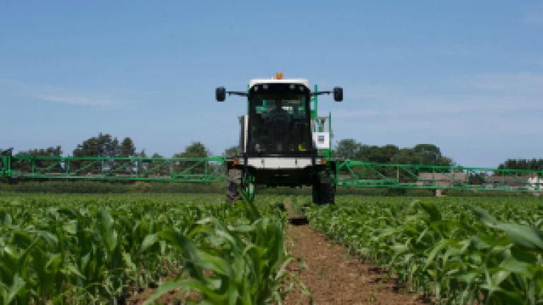 Maize application