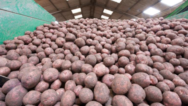 Potatoes