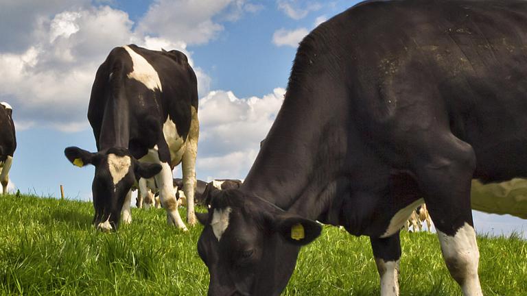 Banner - Managing herbicide resistance