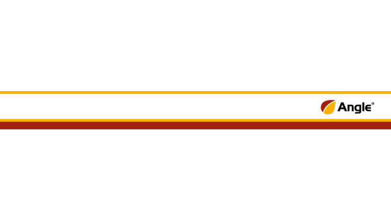 ANGLE Logo